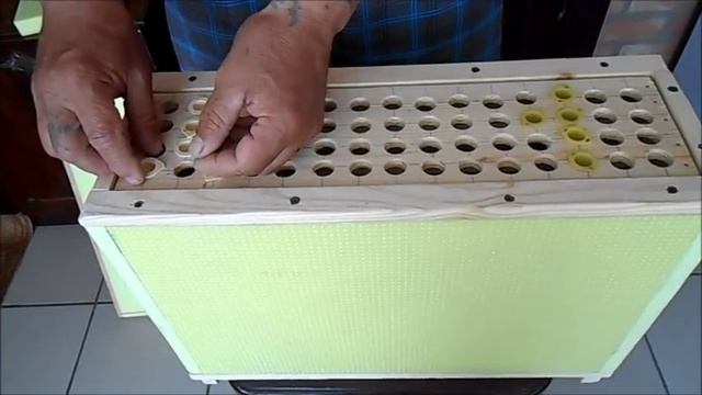 Нужен ли ящик стартер для вывода маток? смотреть онлайн