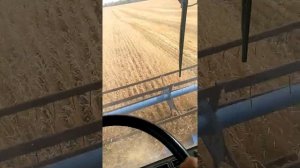 Краткий обзор Енисей 954 на уборке 2022.