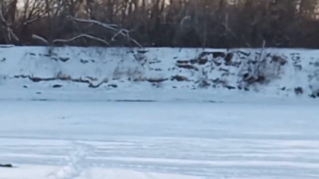 Прогулка с Кузей смотреть онлайн