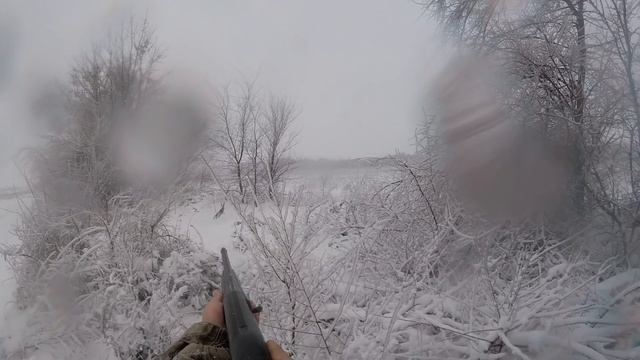 Охота на зайца 24 12 2017 смотреть онлайн