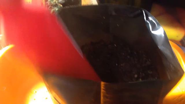 Перевалка перца посаженного в торфяные таблетки смотреть онлайн