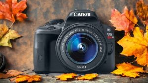 Canon 100D vs Sony A6000: Which Camera Is Better? (With Ratings & Sample Footage)