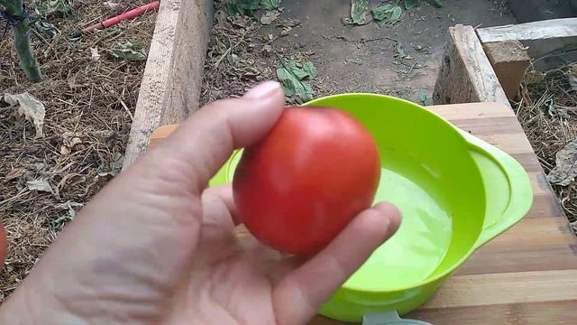 Сорт томата-Красивейший фантазёр ?