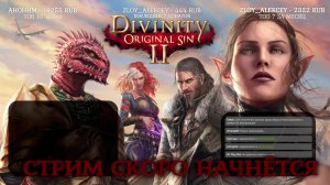 Divinity Original sin 2