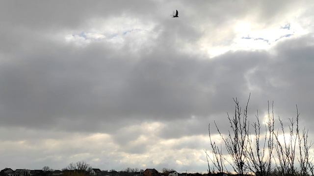 7 ошибок, которые совершают 99% женщин смотреть онлайн