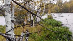 Рыбалка в Васильсурске поздней осенью