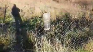 Лежаки по моему лучшие для стационара ульи