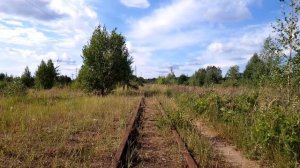 Заброшенная УЖД. Июль 2022