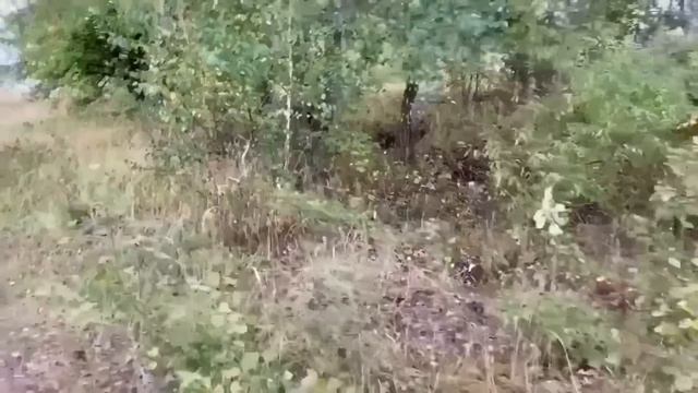 НИНКУ РАЗНЕСЛИ ХЕЙТЕРЫ! ПИРАТСКАЯ ЖИЗНЬ.
