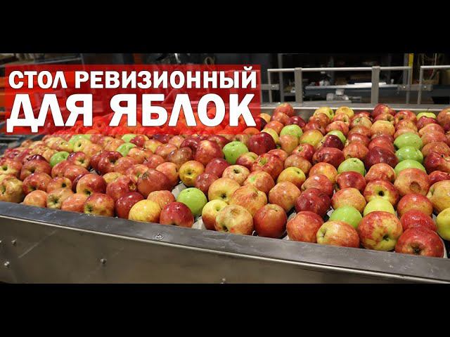 Инспекционный стол для фруктов (видео)