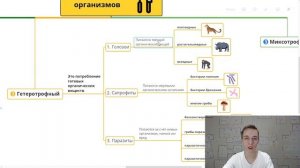Интеллект карта “Типы питания живых организмов”. Автотрофный, гетеротрофный и миксотрофный типы