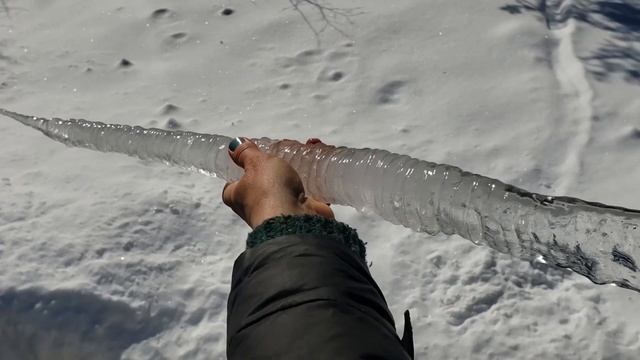АРОМАТЫ ДЛЯ ДОМА. ЖИВАЯ ЕЛЬ. смотреть онлайн