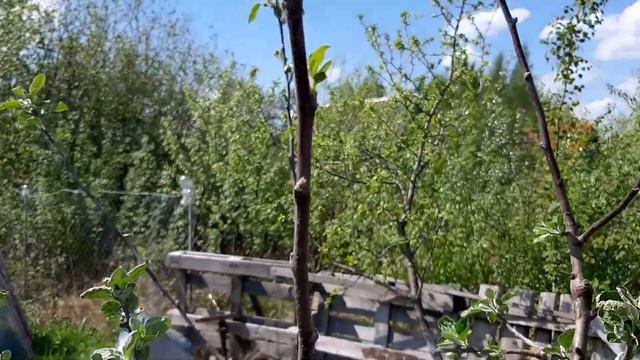 Наша дача. Май 2021г. смотреть онлайн