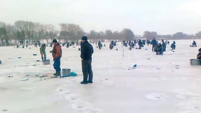 Ловля карпа и карася смотреть онлайн