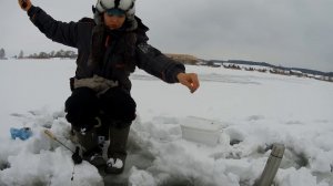 ЛОВЛЯ ОКУНЯ СО ЛЬДА НА ПОПЛАВОК. Рыбалка на зимнюю удочку. #44