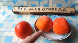 Что делать ,если ХУРМА ВЯЖЕТ РОТ  и как её привести в съедобное состояние.