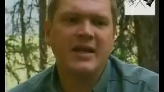 Выживание.(матерьял для костра) смотреть онлайн