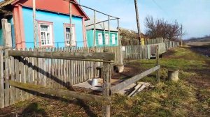 Вымирающие деревни России. Улица где не кто не живет (часть 2). Заброщенные дома.