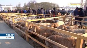 Ахбори Точикистон Имруз - 26.11.2021 | novosti tajikistana