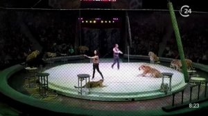 Гости: Андрей и Наталья Широкаловы, дрессировщики шоу "Баронеты"