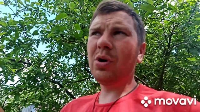 ?? Понад Усе!!! Свинячий релакс , вимиваємо свинарник... смотреть онлайн