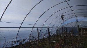 Арочная теплица обзор.