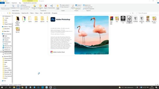 При импорте 3D FaceMesh в Photoshop 22.4.1 - черный экран: что делать, решение смотреть онлайн