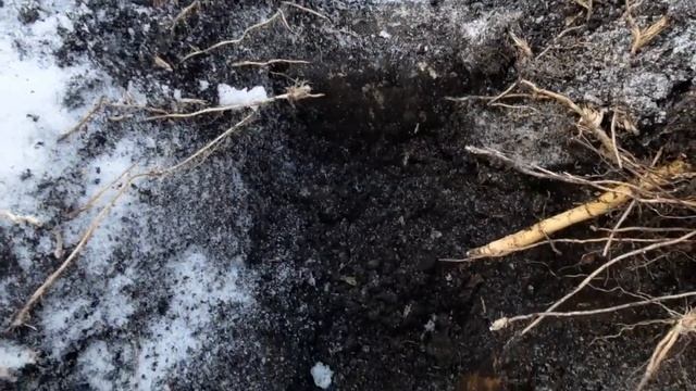 Зимний коп металлолома в -22 градуса мороза смотреть онлайн