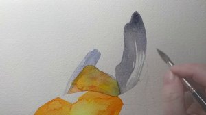 Painting a Goldfish in Watercolor 🐠