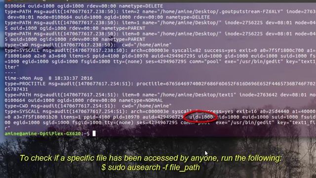 How to monitor file access on Linux with auditd