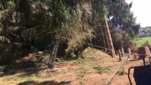 Валим дерево лебёдкой на 3.5 тон