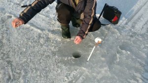 ЗА ЗИМНИМ СУДАКОМ!МОЖАЙСКОЕ ВОДОХРАНИЛИЩЕ! 24.02.2022