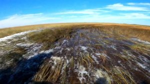 Everglades National Park Airboat Tour and Wildlife Show. Национальный Парк Эверглейдс