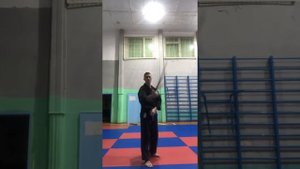 Айкидо, работа с палкой, ДЖО.