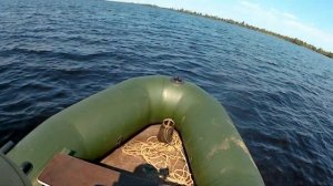 Лодочный мотор Гладиатор 9 8 и фрегат 320 замер скорости