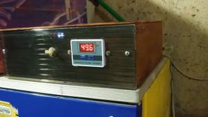 Табак месяц в грунте  Ферментатор из холодильника