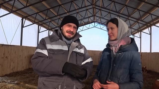 Почему перешли на мясное направление КРС?