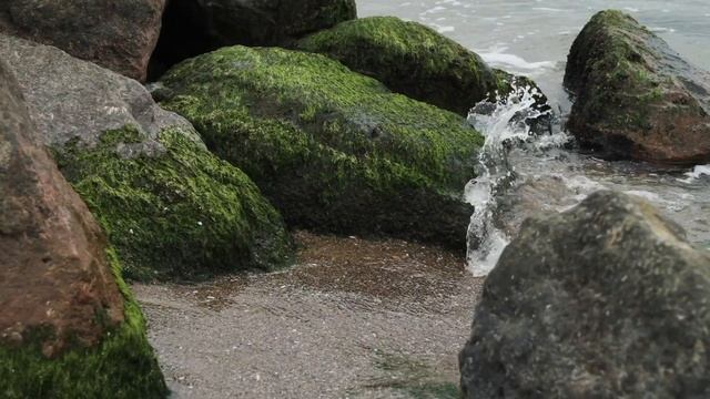 Музыка для отдыха , учебы , мечтаний и для времяпровождения / нейтрализация негатива/ Мечты о ЛЕТЕ смотреть онлайн