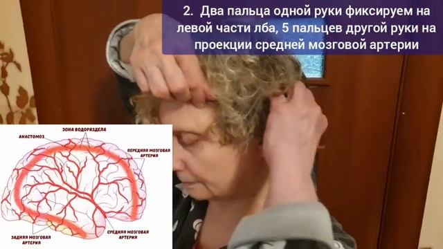 Мозг стал хуже работать? Укрепите шею и мозговые центры речи специальными упражнениями
