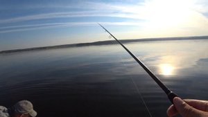 Ловим судака на Сурском водохранилище! Рыбалка на спиннинг!