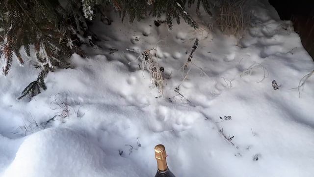 Привет Москва!!! Новогоднее обращение к моим любимым подругам!!! смотреть онлайн