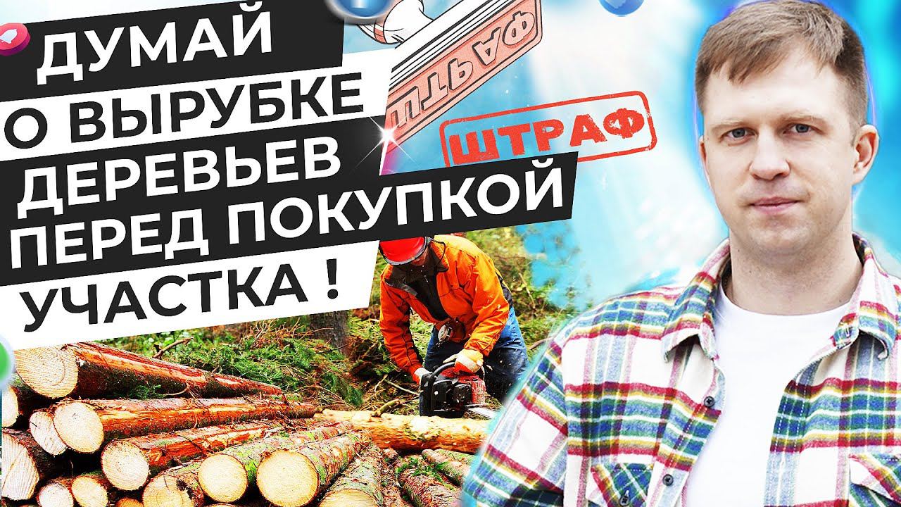 ДУМАЙ О ВЫРУБКЕ ДЕРЕВЬЕВ ПЕРЕД ПОКУПКОЙ УЧАСТКА!