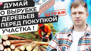 ДУМАЙ О ВЫРУБКЕ ДЕРЕВЬЕВ ПЕРЕД ПОКУПКОЙ УЧАСТКА!