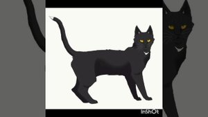 эдит великой тройки#котывоители#КВ