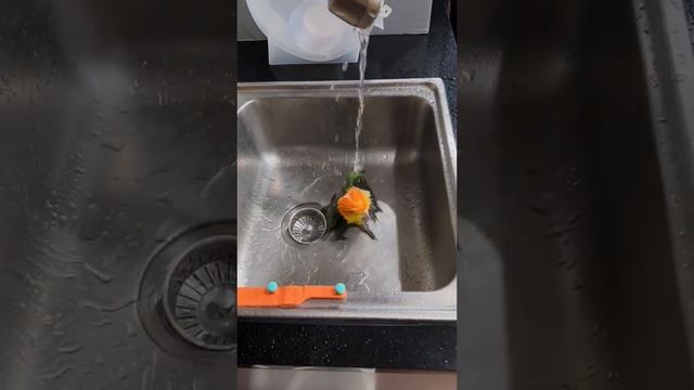 1000002062.mp4 смотреть онлайн