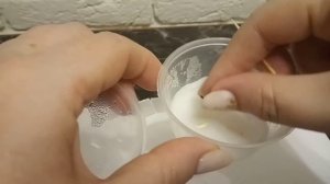 Раздевание семян адениума с АлиЭкспресс.Продолжаем наш эксперимент.