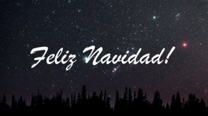 Feliz Navidad, próspero año y felicidad (en español) con letra by Martín Calvo