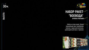 Воевода РН0700701