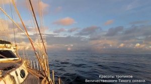 СПС Славянка под парусами через два океана