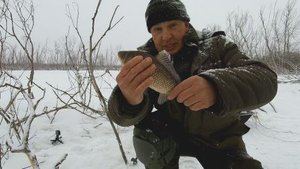 Карась в снежную погоду на донском озере .